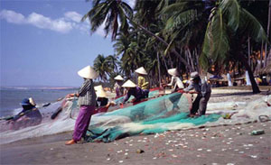 Se souvenir de la Source:  Le van chai (système traditionnel d’organisation sociale et communautaire)